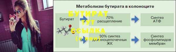 a pvp Бородино