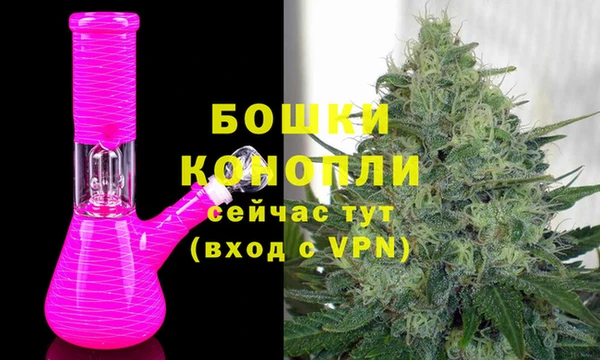 a pvp Бородино