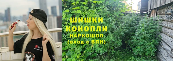a pvp Бородино
