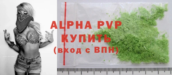 a pvp Бородино