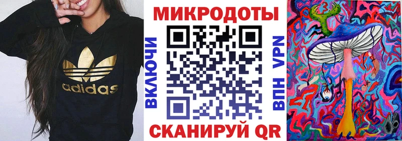 Галлюциногенные грибы Psilocybe  магазин продажи наркотиков  Вышний Волочёк 